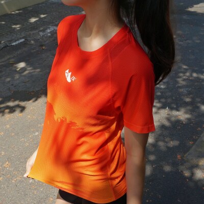 ao-tshirt-the-thao-rl-qd-103