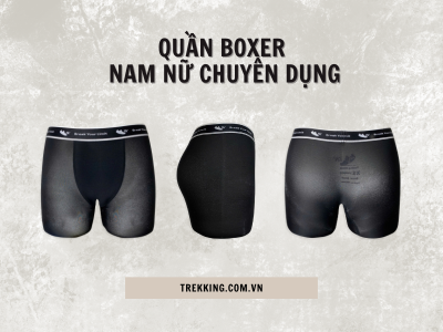 Boxer Den 1